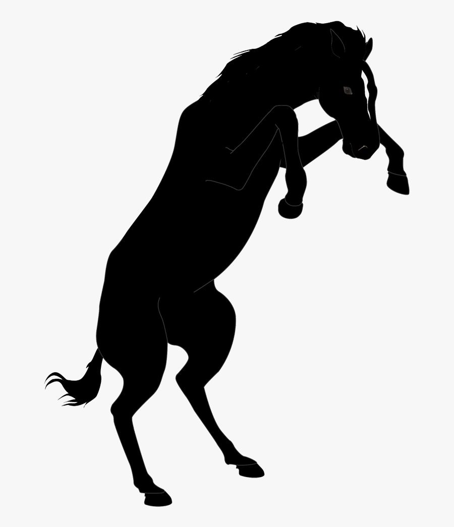 Mustang Sports, Transparent Clipart