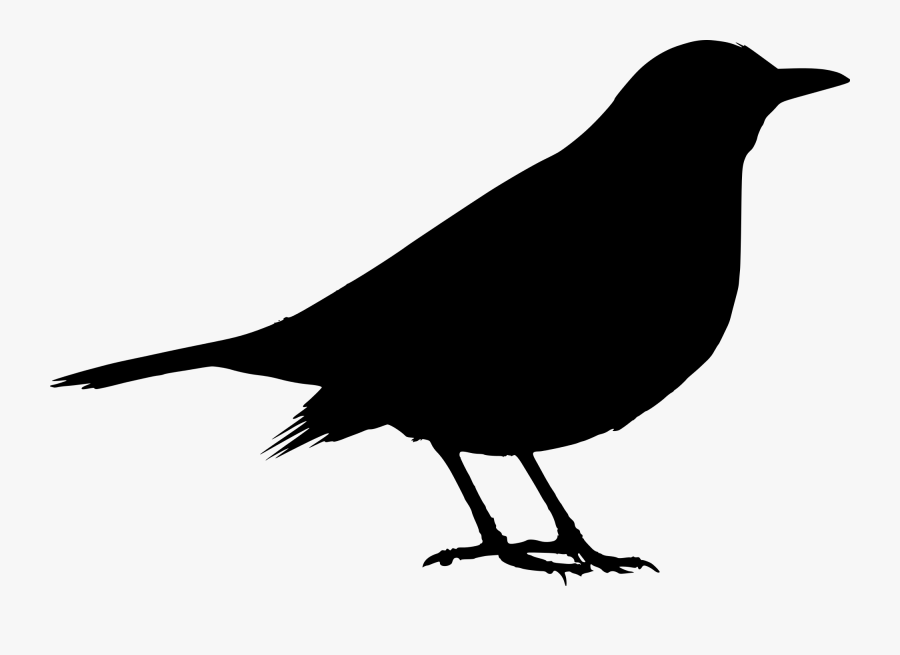 Clip Art File Blackbird Turdus Merula - Black Bird Silhouette, Transparent Clipart