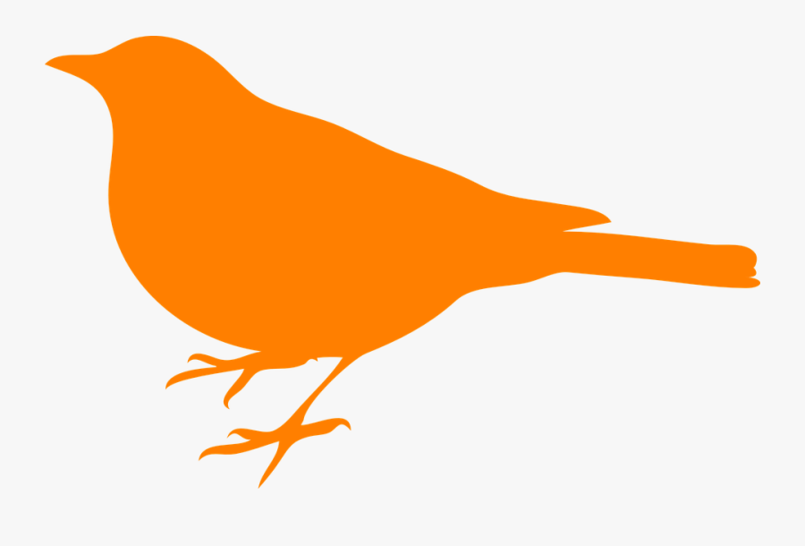 Black Bird, Sitting, Silhouette, Orange - Bird Silhouette Clip Art, Transparent Clipart