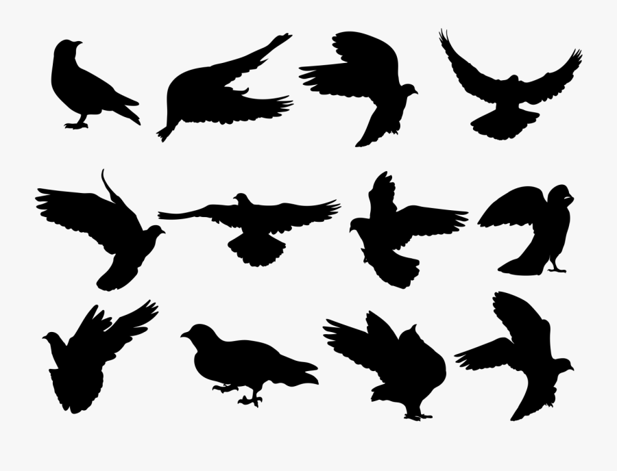 Bird Silhouette Clip Art - Palomas Volando Vector Png, Transparent Clipart