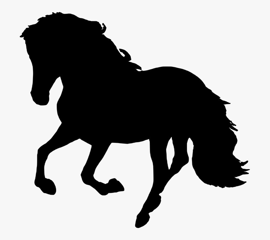 Horse With Question Mark, Transparent Clipart