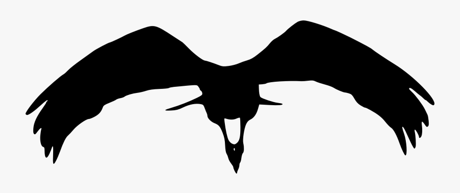 Portable Network Graphics, Transparent Clipart