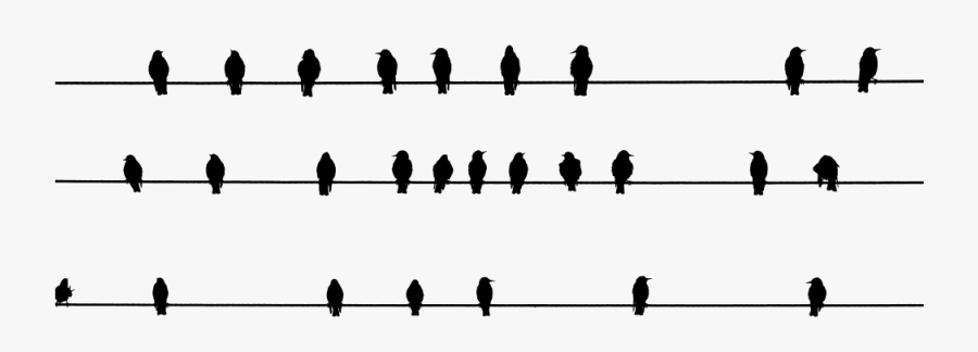 Array Of Perched Birds Silhouette - Gay Day, Transparent Clipart