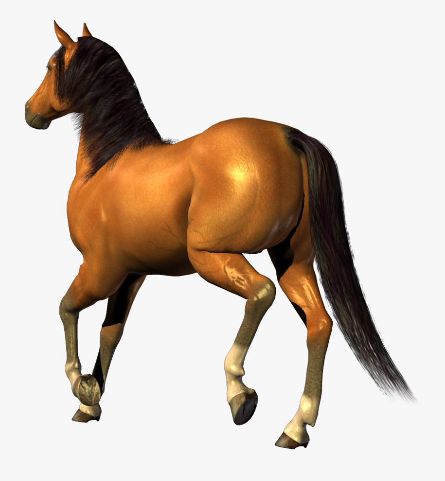 Horse In Png - Horse Png No Background, Transparent Clipart