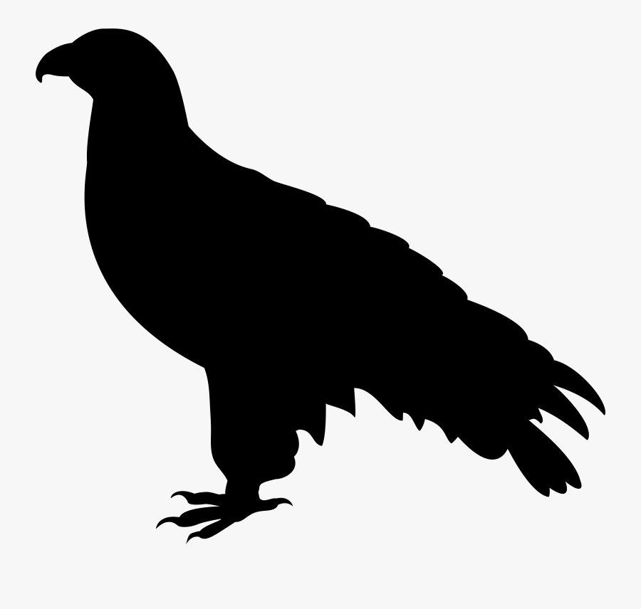 Falcon Clipart Falcon Bird, Transparent Clipart