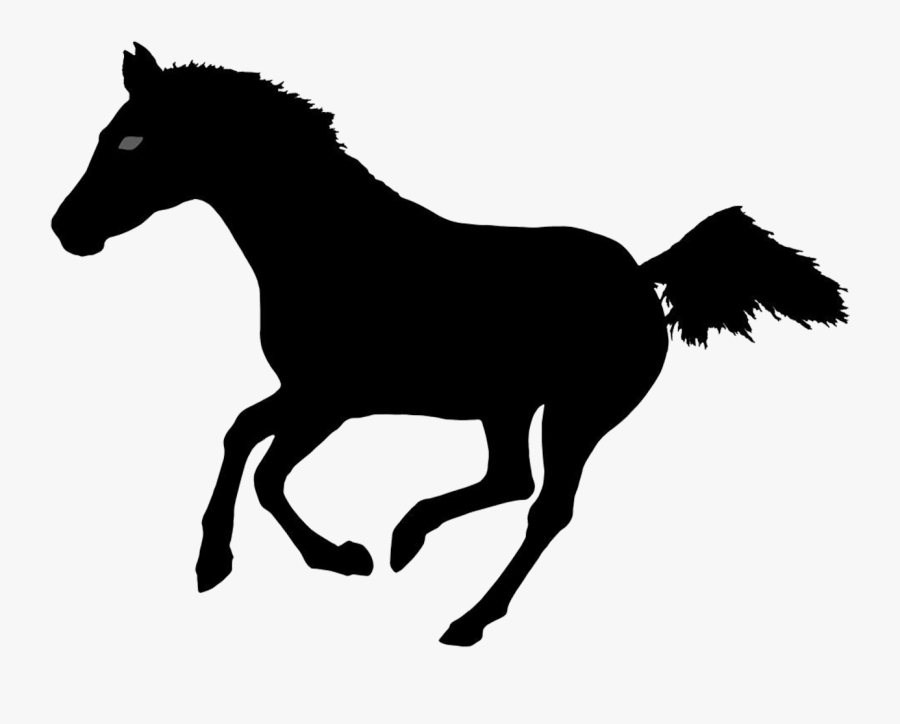 Clip Art Horse Photography Illustration - Horse Calendar 2014, Transparent Clipart