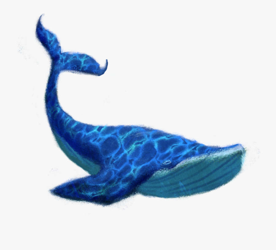 1200 X 800 - Blue Whale Transparent Background, Transparent Clipart