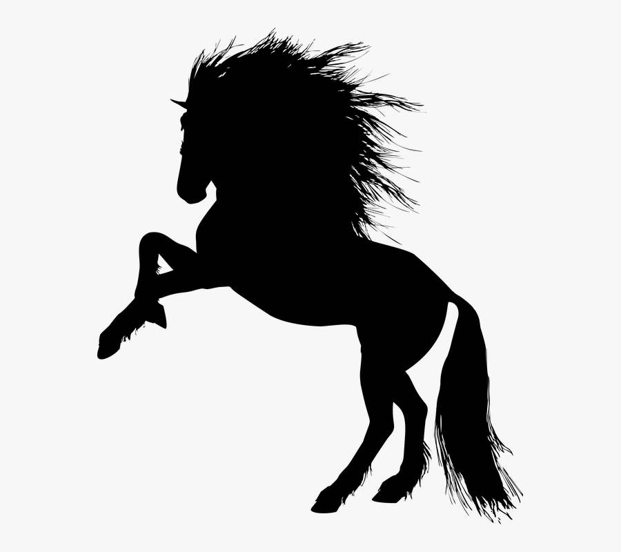 Animal, Equine, Rearing, Horse, Silhouette, Ride - Rearing Unicorn, Transparent Clipart