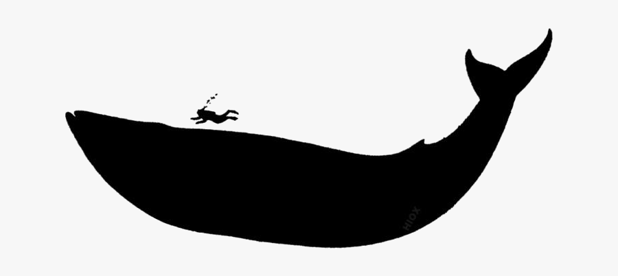 Blue Whale Png Silhouette - Blue Whale, Transparent Clipart