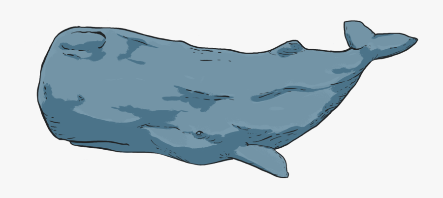 Blue Whale, Transparent Clipart