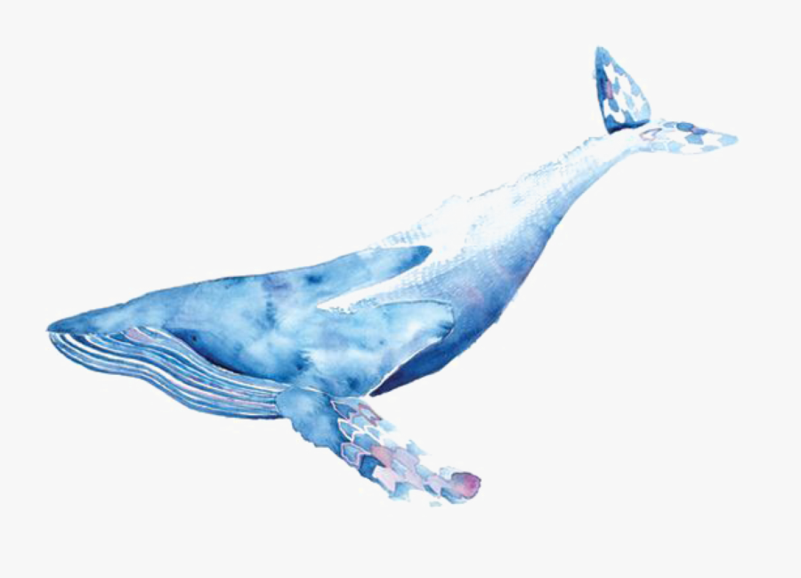 Freetoedit Sticker By Hanjo Rafael - Blue Whale Png Draw, Transparent Clipart