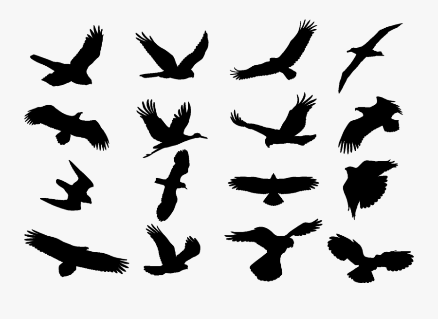 Free Png Download Bird Cdr Png Images Background Png - Birds Cdr, Transparent Clipart