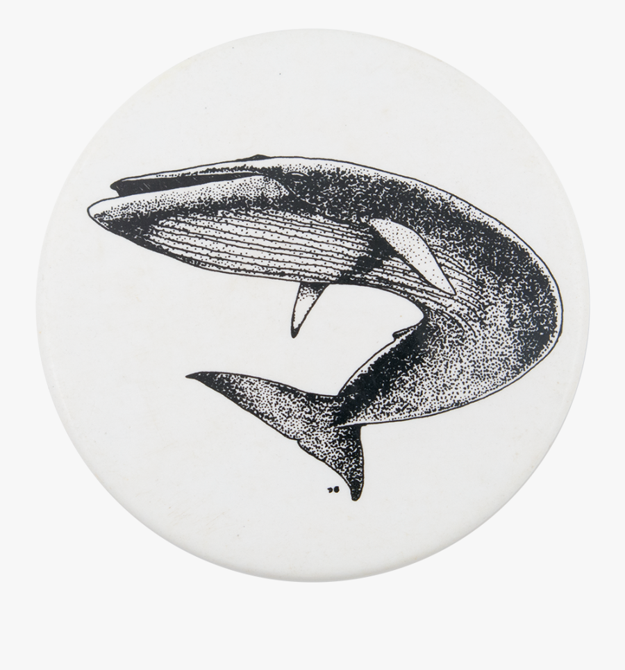 Blue Whale Png Black And White - Black And White Blue Whale, Transparent Clipart