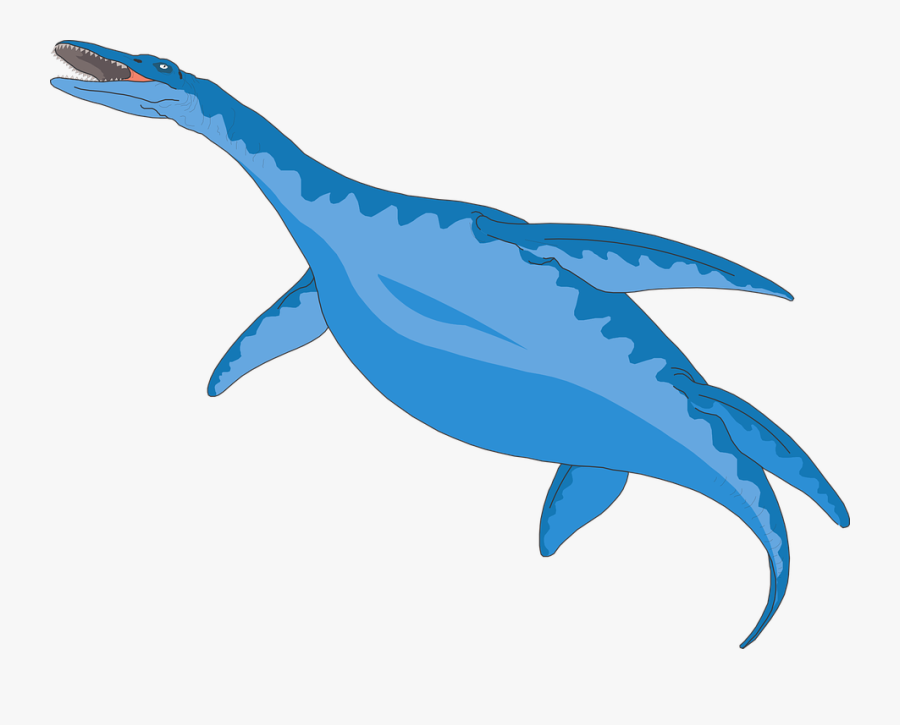 Fish,animal Figure,marine Mammal,blue Dolphins - Water Dinosaur Clipart Black & White, Transparent Clipart