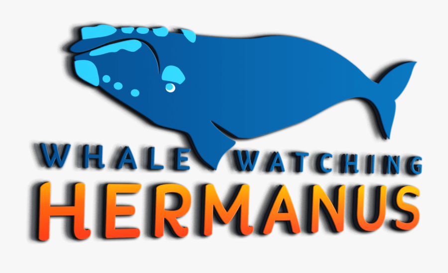 Transparent Whales Png - Graphic Design, Transparent Clipart