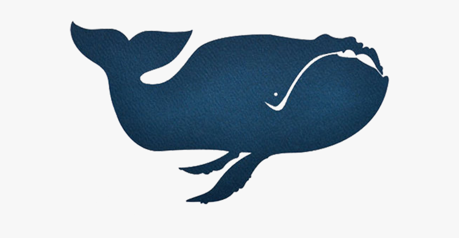 Baleen Whale Porpoise Blue Whale Illustration - Blue Whale, Transparent Clipart