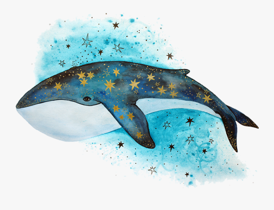 #tumblr #whale #bluewhale #stars #blue - Иллюстрация Кит, Transparent Clipart