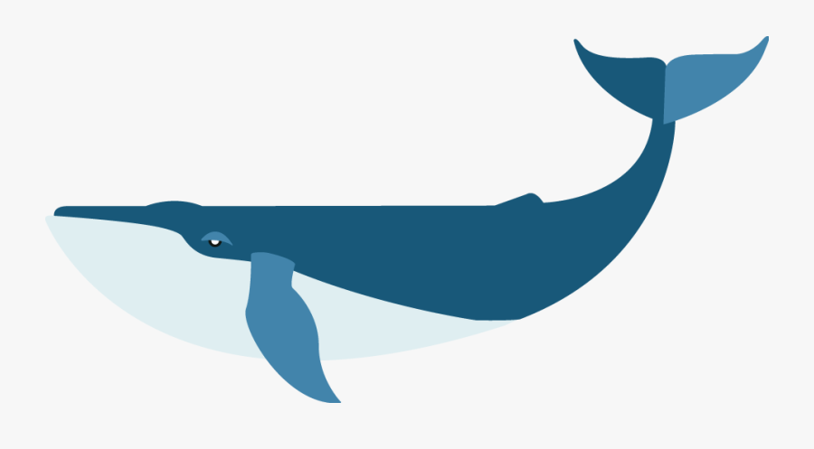 Flat Blue Whale - Whale Flat Png, Transparent Clipart