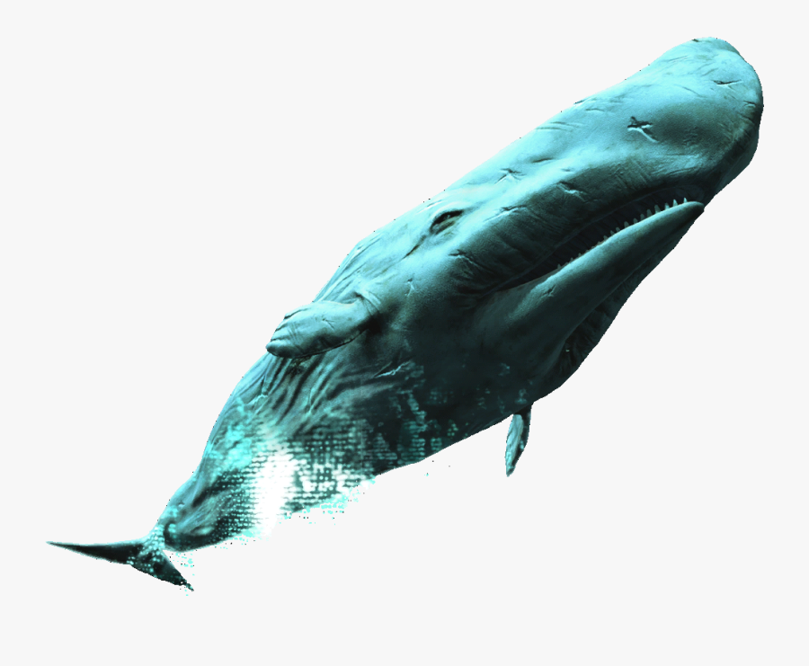 Assassins Creed Rogue White Whale, Transparent Clipart