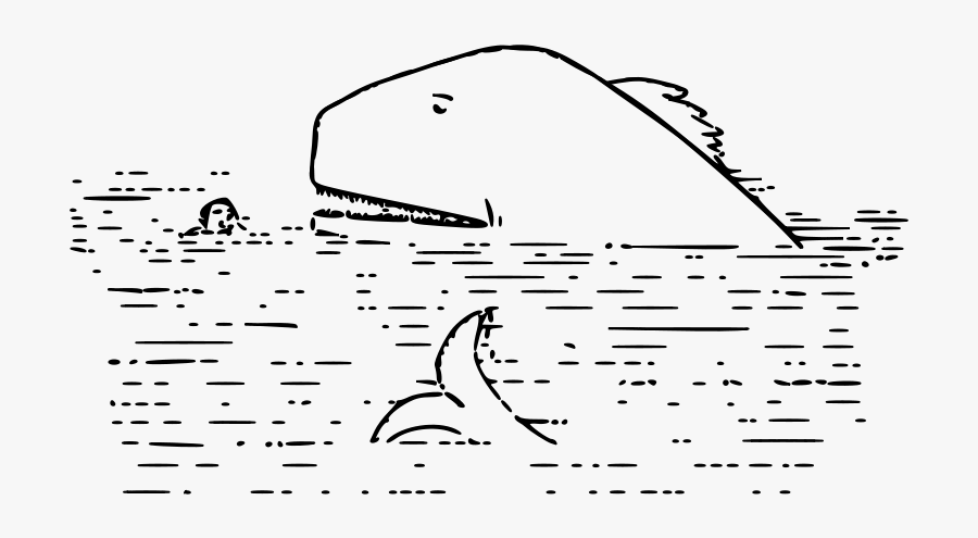 Whale - Line Art, Transparent Clipart