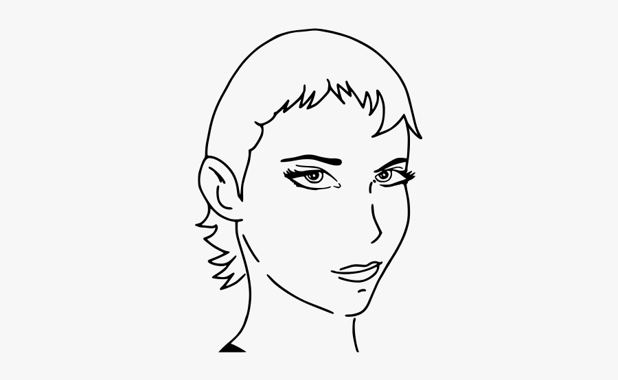 Sketch, Transparent Clipart