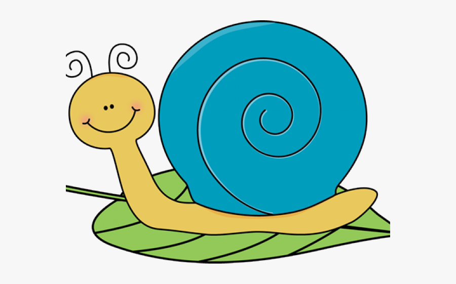 Transparent Snail Clipart, Transparent Clipart
