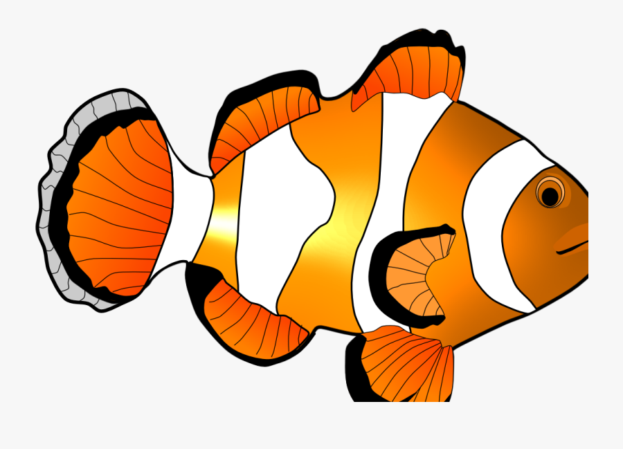 Transparent Clown Fish Png - Cá Hề Hoạt Hình, Transparent Clipart