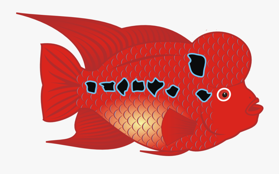 Flowerhorn Fish Svg Clip Arts - Flowerhorn Fish Clipart, Transparent Clipart
