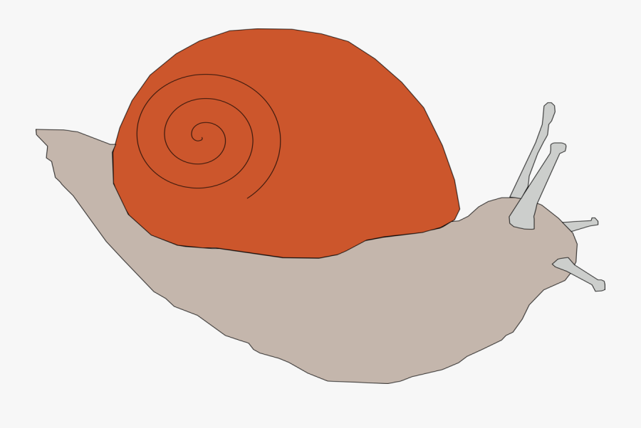 Stomach,snail,food - Clip Art, Transparent Clipart