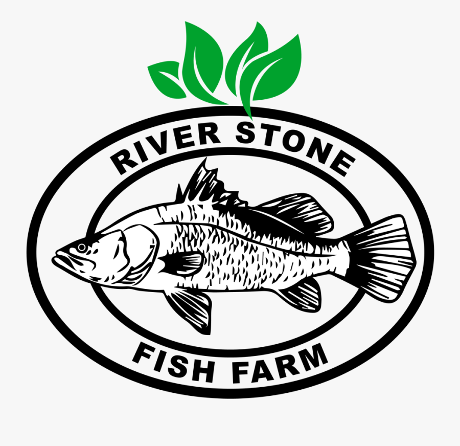 Transparent Dead Fish Clipart - New Heaven High School, Transparent Clipart