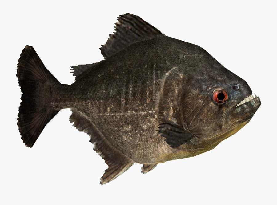 Piranha Png, Transparent Clipart