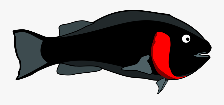 All Photo Png Clipart - Clip Art, Transparent Clipart