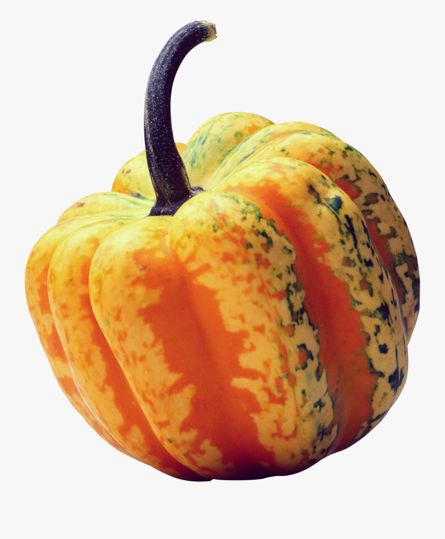 9348 - Gourd Transparent Background, Transparent Clipart