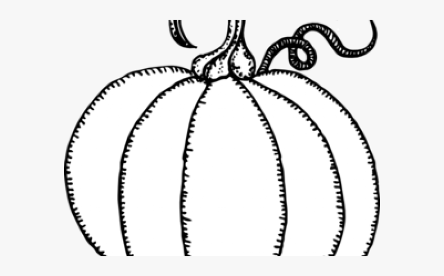 Vines Clipart Pumpkin Vine - Small Pumpkin Clip Art, Transparent Clipart