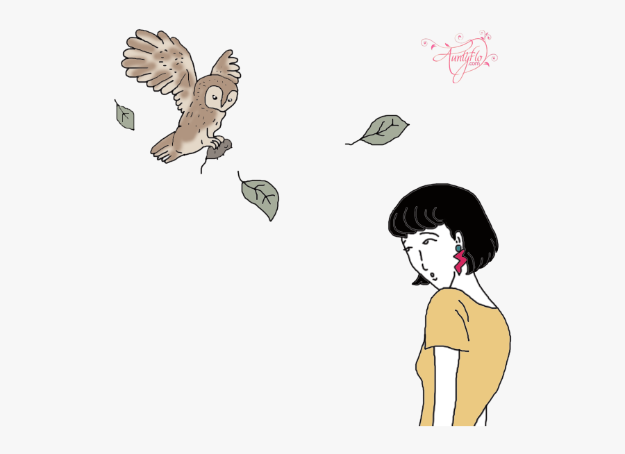 Illustration, Transparent Clipart