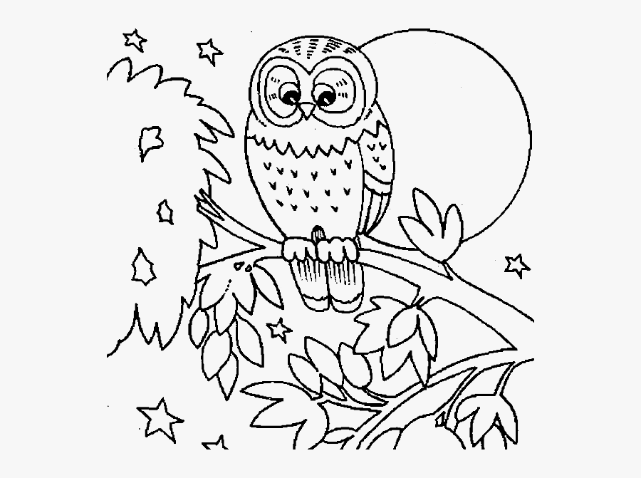 Cute Owl Is Dreamy Coloring Pages - Coloring Pictures Printable Owls, Transparent Clipart