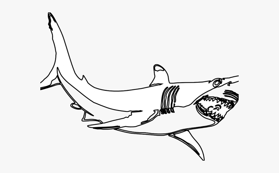 Black And White Shark Clipart, Transparent Clipart
