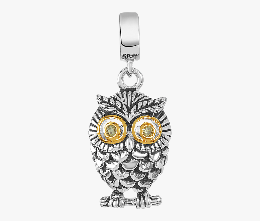 Owl Charm For Use On Dbw Interchangeable Charm Bracelets - Locket, Transparent Clipart