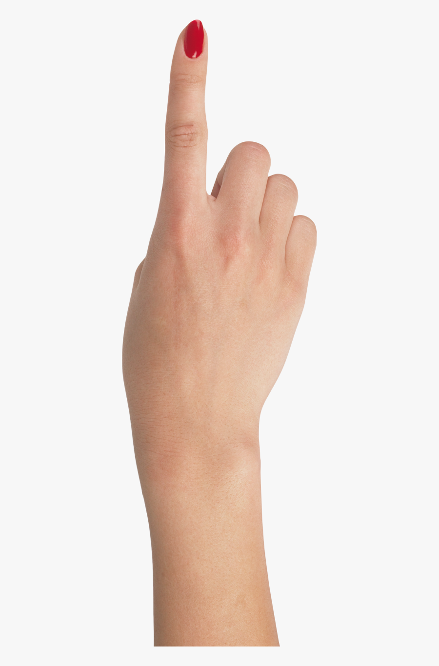 Hand Png, Transparent Clipart