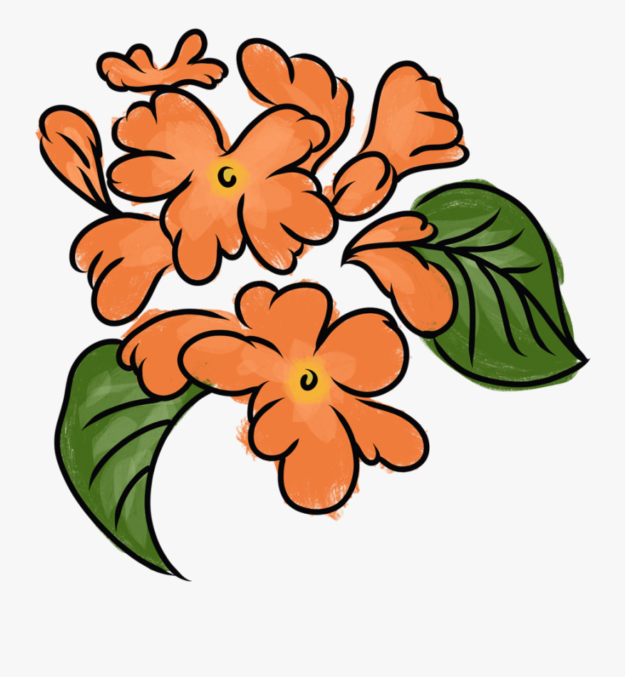 Crossandra, Transparent Clipart