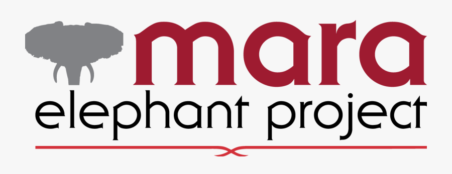 Mep 101 Secondarylogo Option2 2015 12 18 Fnl - Project Elephant, Transparent Clipart