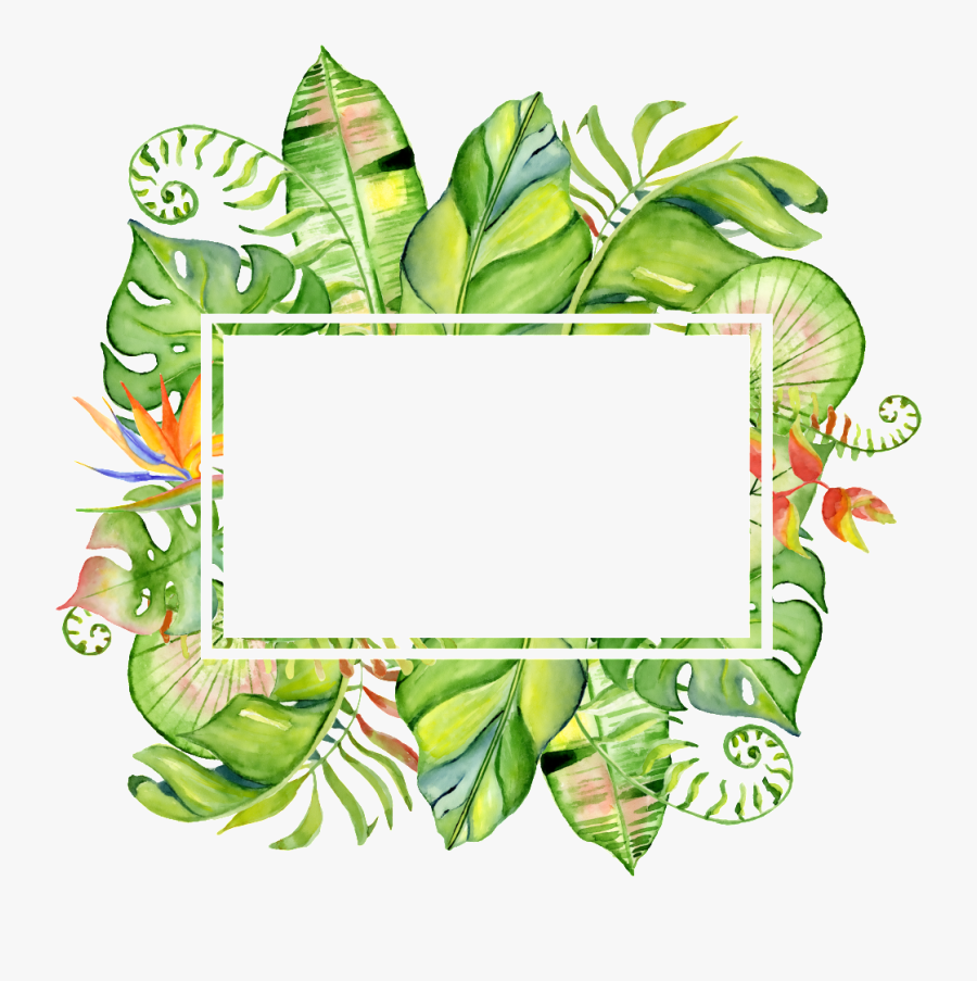 Treasure Color Column Png Transparent Surrounded By - Tropical Leaves Frame Png, Transparent Clipart