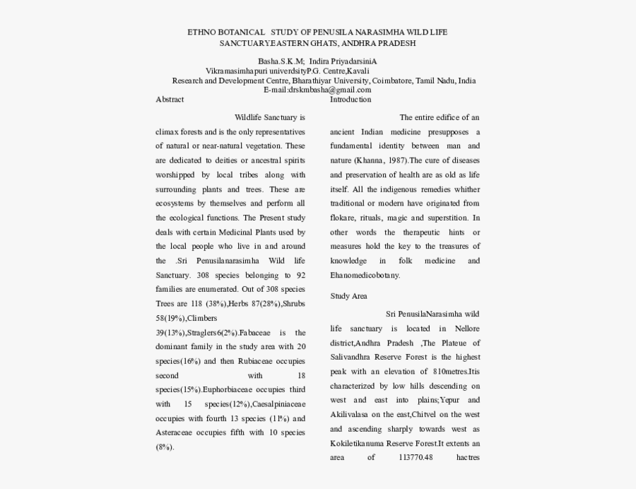 Document, Transparent Clipart