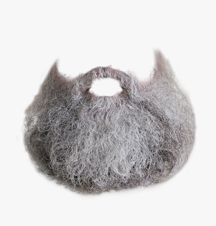 Beard Png - Long Whute Beard Png, Transparent Clipart