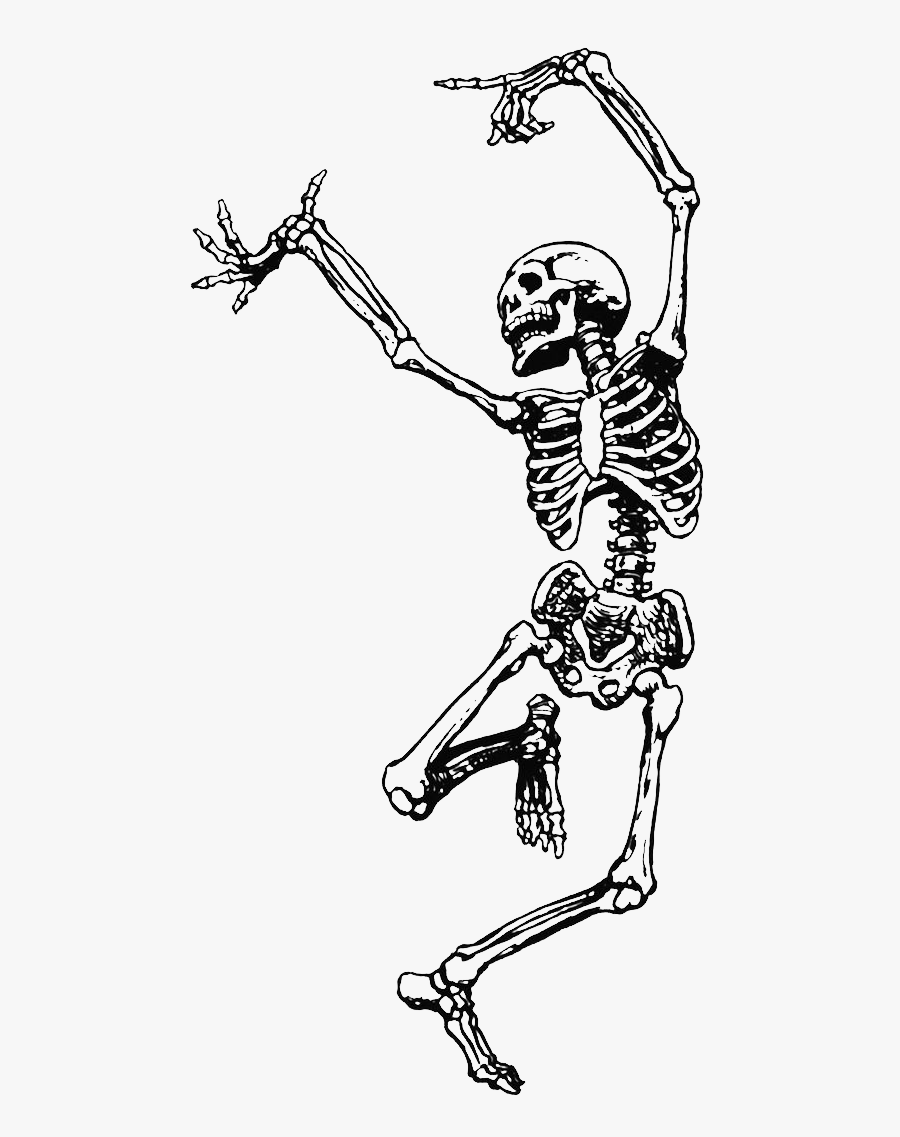 Dance Skeleton Human Skull Png File Hd Clipart - Skeleton With Flower Crown, Transparent Clipart