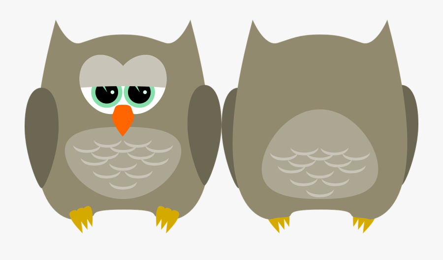 Owl Bird Cute Free Picture - Owl, Transparent Clipart
