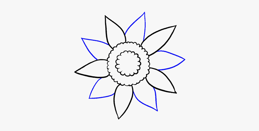 How To Draw Sunflower - Sunflower Petals Drawing, Transparent Clipart