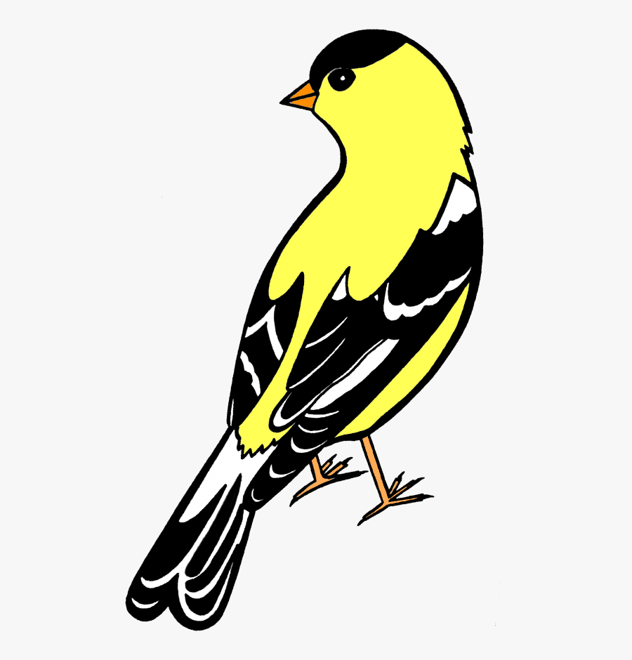 Image 7 Of - Old World Flycatcher, Transparent Clipart