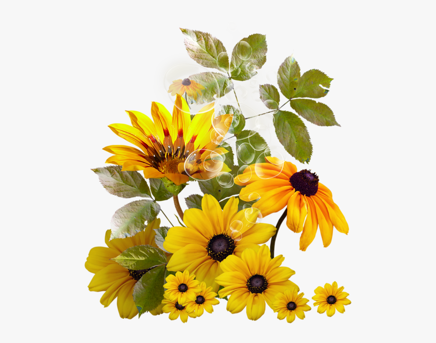 Transparent Sunflower Garden Clipart - Girassol Png, Transparent Clipart