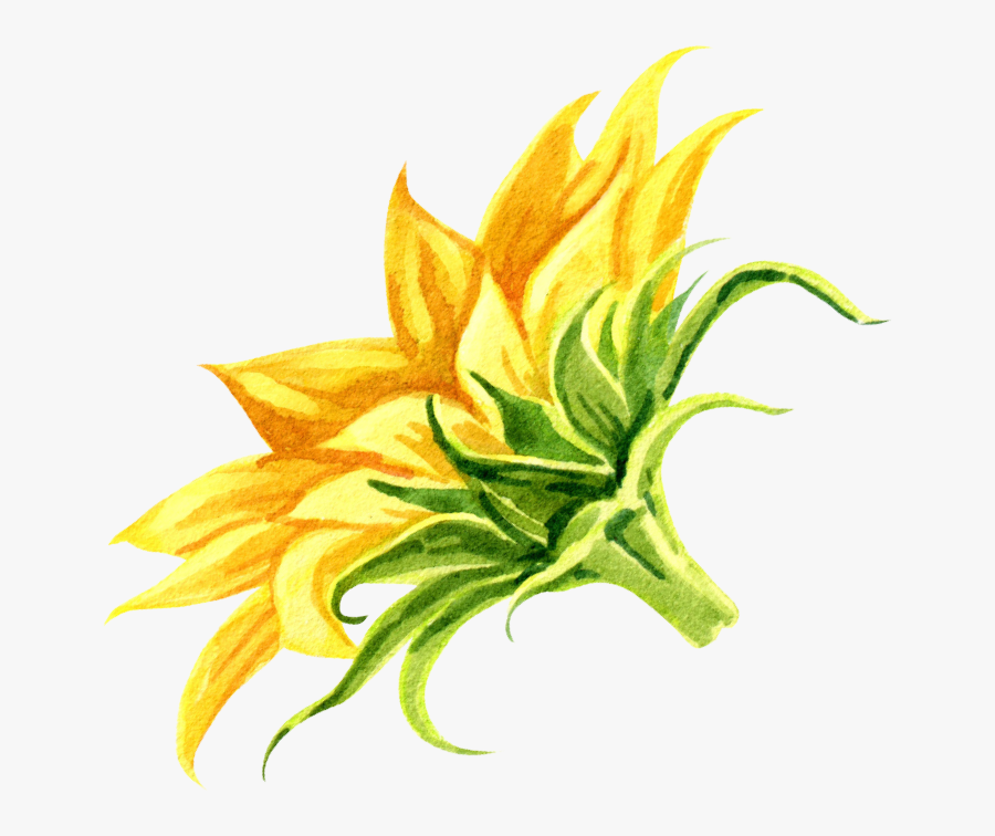 Illustration, Transparent Clipart